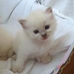 IMG_zach4331.jpg