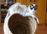 IMG_belinka6546.jpg