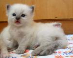 IMG_jboy5597.jpg