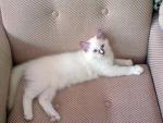 DSC00230.JPG