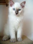 IMG_gusik7282.jpg