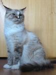 IMG penny9719