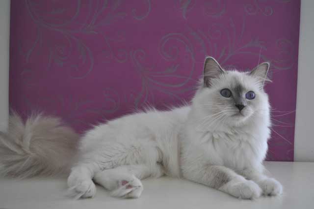 natali1