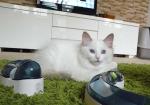 vivien029