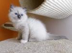 dobbyDSCN3300