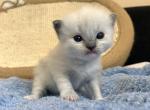 PP1 IMG_7327
