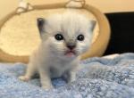 PP1 IMG_7329
