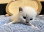 PP7 IMG_7308