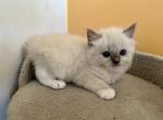 boyIMG_7696