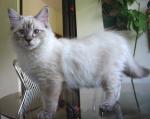 IMG 1 6886