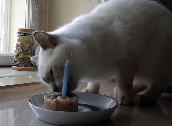 Leonardo´s first birthday :o)