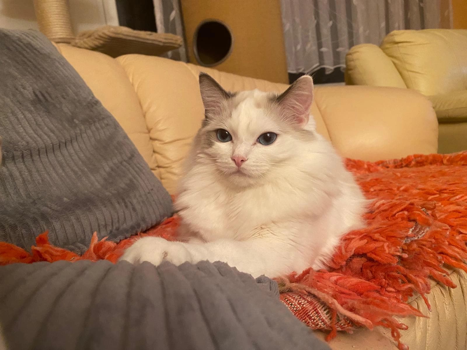 Julinka