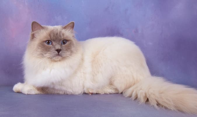 Hier erfahren Sie ein wenig darüber, wie wir angefangen haben.background image