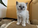 girl blue mitted (8)