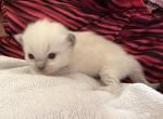 6mittedIMG_9672