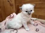 6 boy IMG_9774