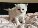 zluty5 IMG_9958