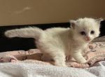 zluty5 IMG_9954
