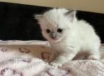 boy04 IMG_9907