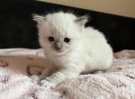 boy04 IMG_9908