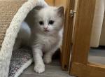 5bicoIMG_0177