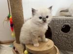 6mitted bIMG_0083