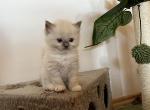 6mitted bIMG_0130
