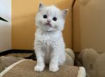 9lilaIMG_0115