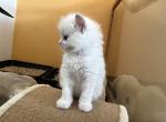 9lilaIMG_0119