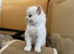 9lilaIMG_0120