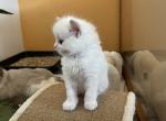 9lilaIMG_0121