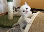 9lilaIMG_0133