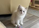sunnyIMG_0834