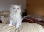 sunnyIMG_0901