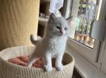 simeonIMG_0848