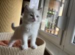 simeonIMG_0849