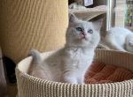 sullyIMG_0877