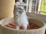 SullyIMG_0889