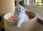 sullyMG_0883