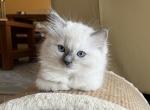 sidIMG_0815