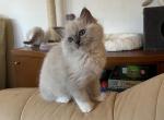 sallyIMG_0806
