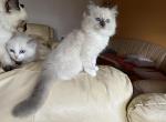 sallyIMG_0864