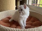 sugarIMG_0905