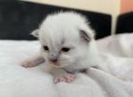 boyIMG_1650