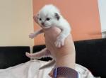 boyIMG_1653
